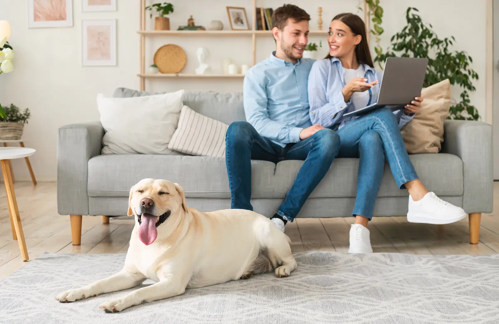 Pros and Cons of Having a Pet-Friendly Property in Jackson, MS